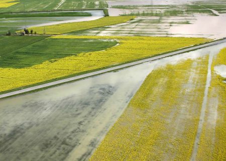 سیل حدود چهار هزار میلیارد ریال به کشاورزی خراسان‌شمالی خسارت زد