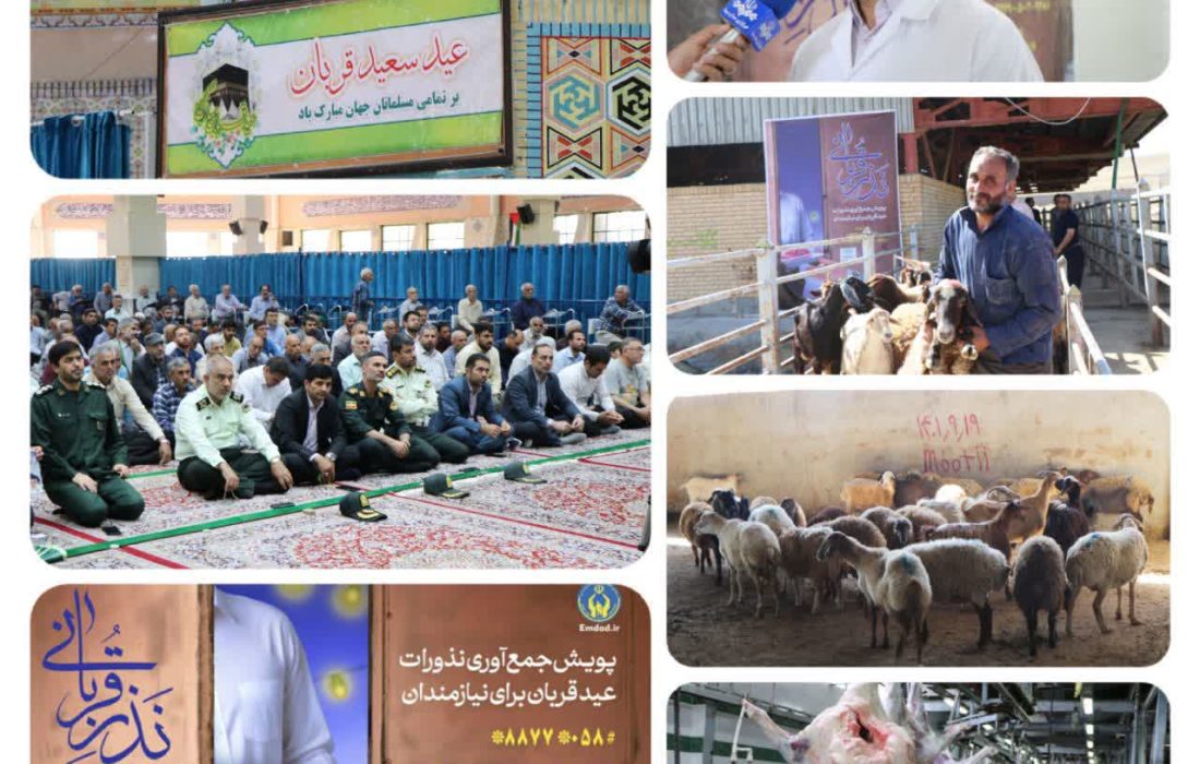 کمیته امداد خراسان شمالی در طرح نذر قربانی ۳۵۴ راس دام ذبح کرد