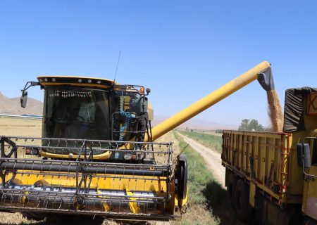 عملیات خرید تضمینی گندم در استان خراسان شمالی رکورد سال گذشته را زد
