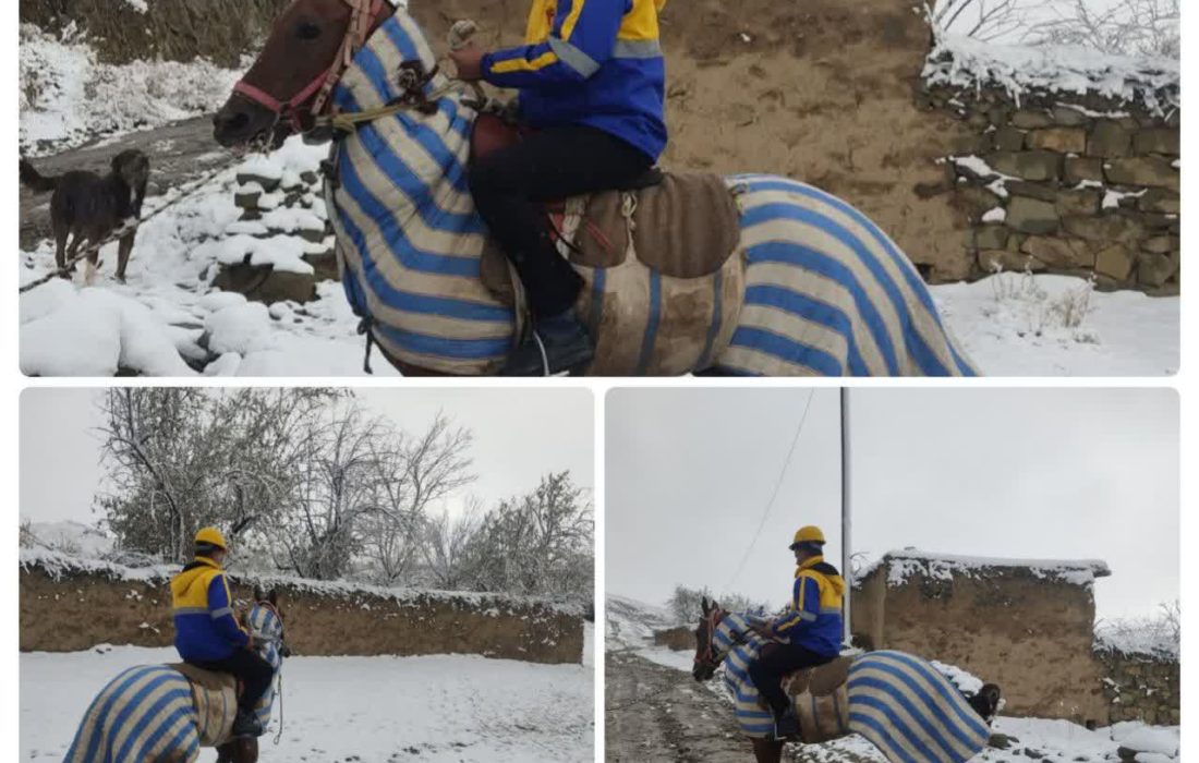 امدادرسانی با اسب در مسیرهای برفی شهرستان راز و جرگلان
